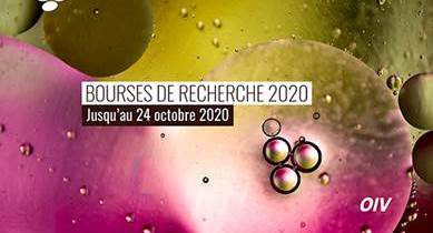 Newsletter n.º 58 - Foto 5